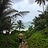 spence_engleson